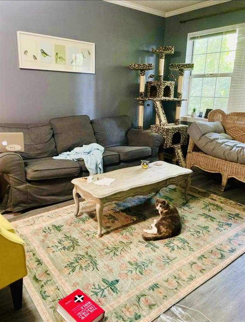 Entire Baths Apartment