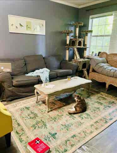 Entire  Baths Apartment