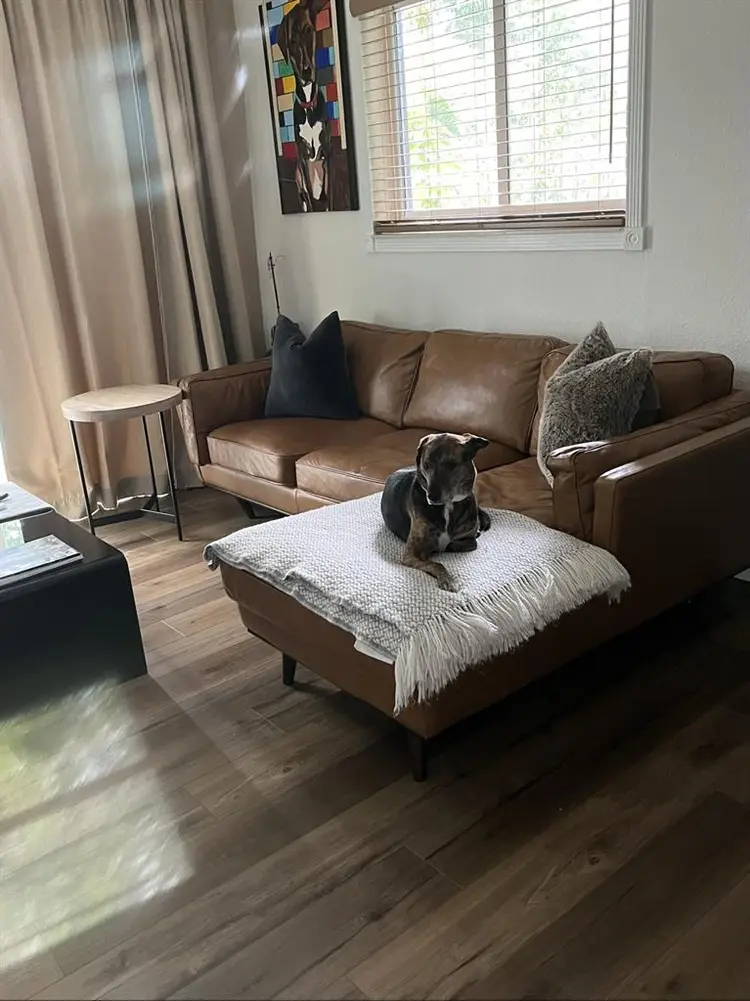 Room in Wilton Manors