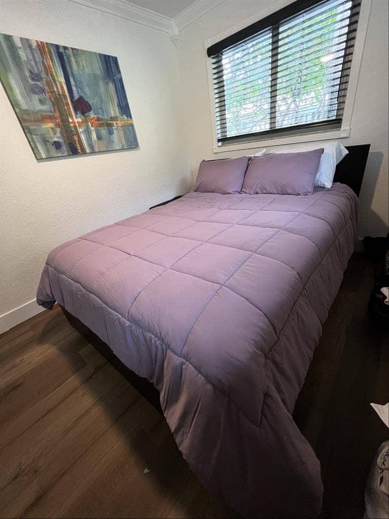 Room in Wilton Manors