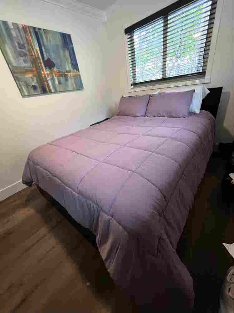 Room in Wilton Manors
