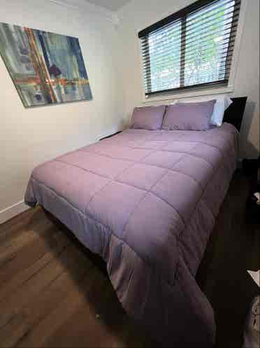 Room in Wilton Manors