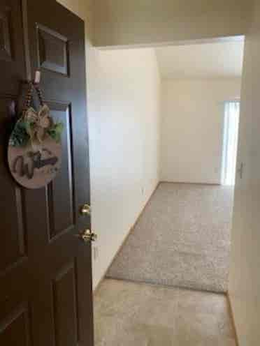 Need roommate in current apt!