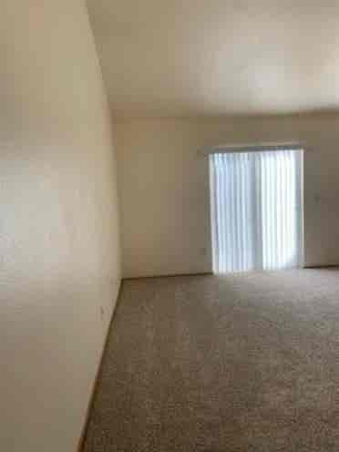 Need roommate in current apt!