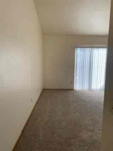 Need roommate in current apt!
