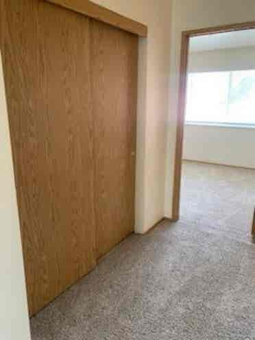 Need roommate in current apt!