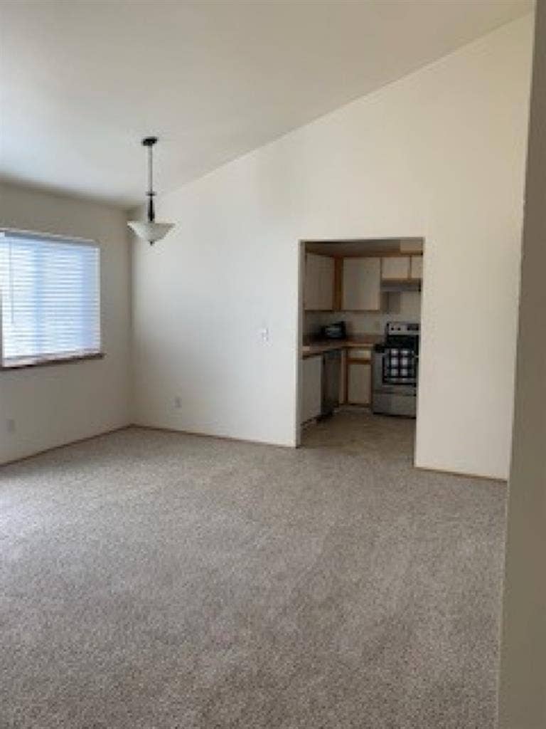 Need roommate in current apt!