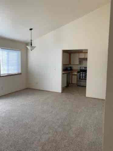 Need roommate in current apt!