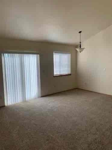 Need roommate in current apt!