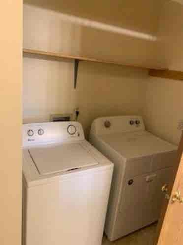 Need roommate in current apt!