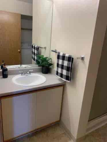 Need roommate in current apt!