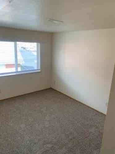 Need roommate in current apt!