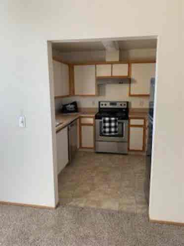 Need roommate in current apt!
