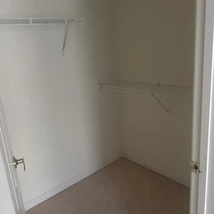 Roommate for the summerr