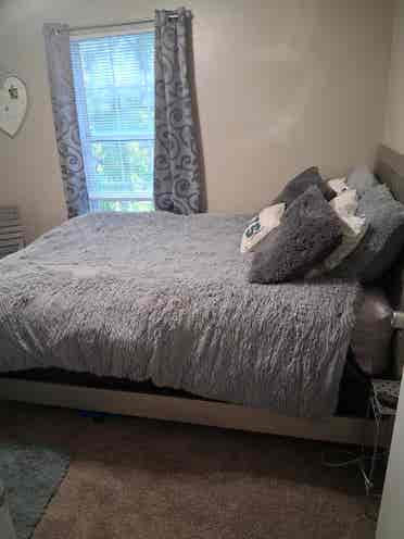Room for rent in 3 bdrm apt