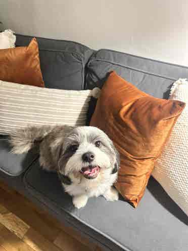 Small BD Apt Female Only