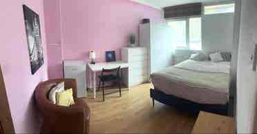 Room for Rent