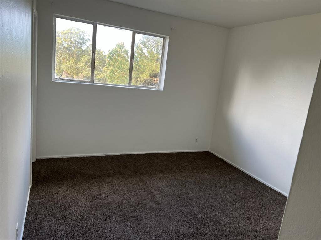 Room Available in SF House