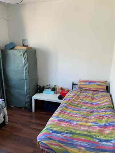 Bright room in nice WG
