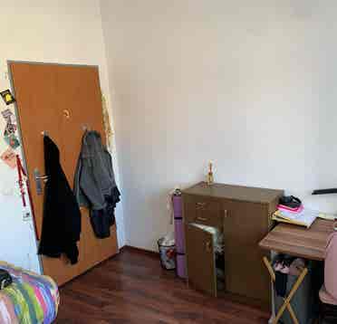 Bright room in nice WG