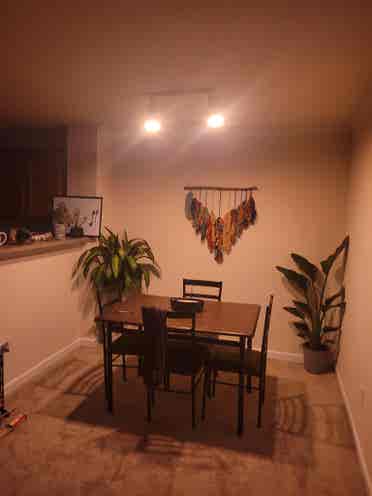 Looking for roommate!