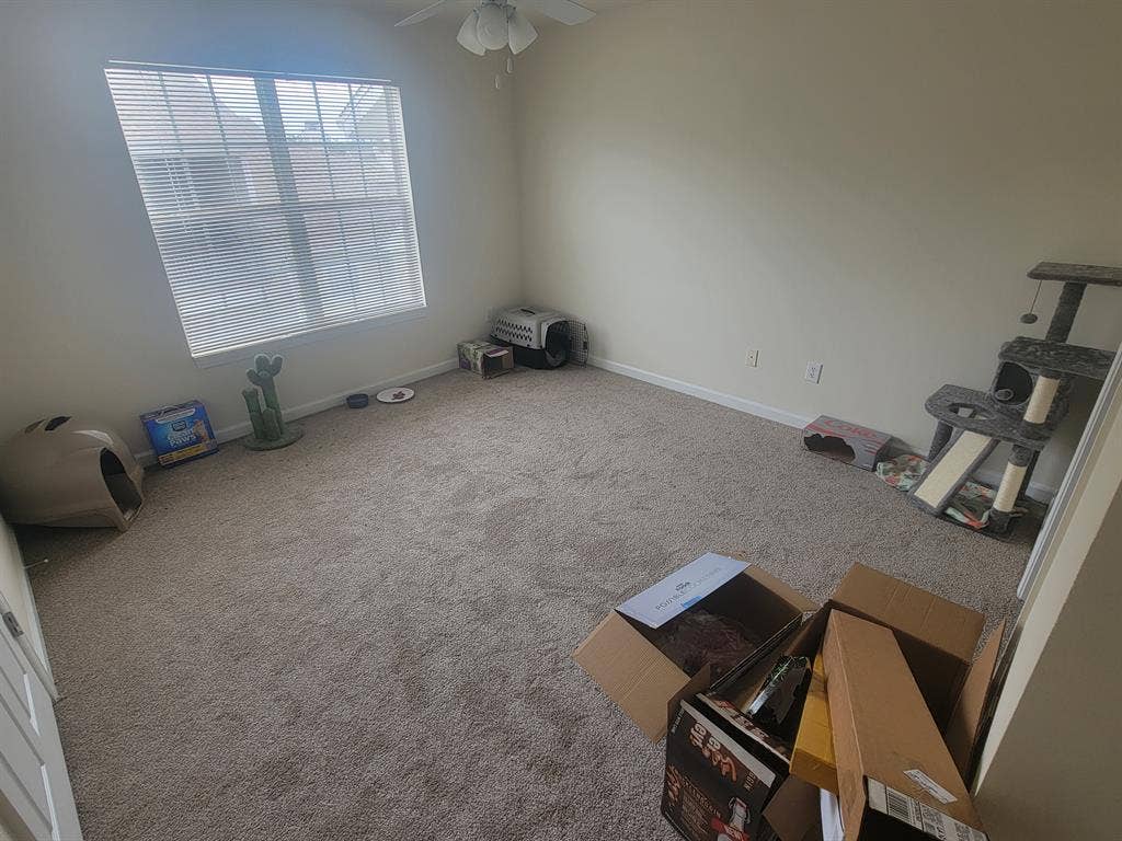 Looking for roommate!