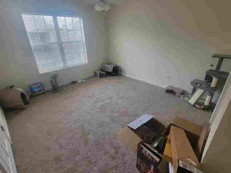Looking for roommate!