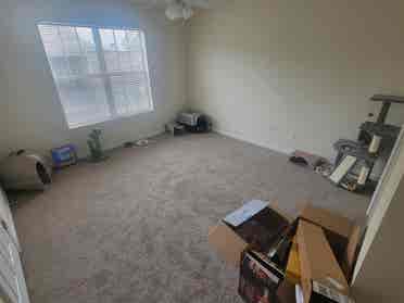 Looking for roommate!