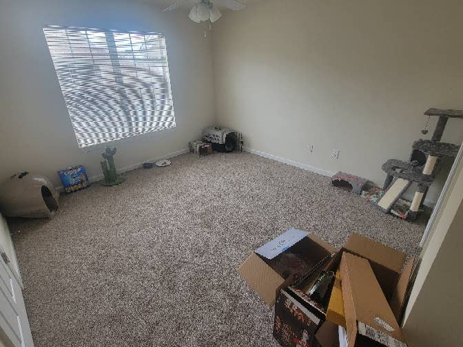 Looking for roommate!