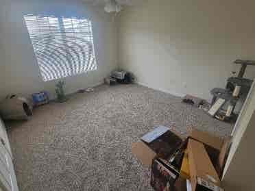 Looking for roommate!