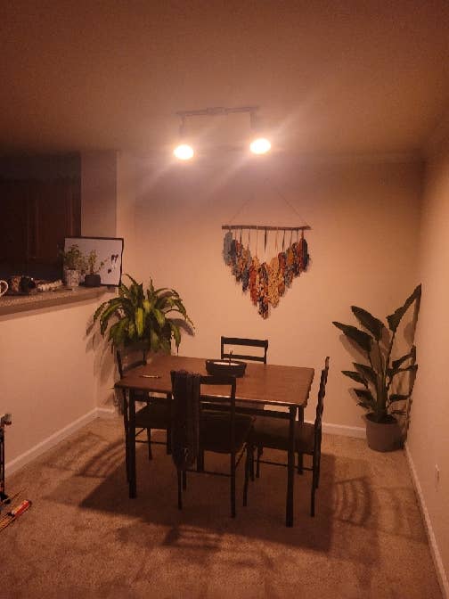 Looking for roommate!