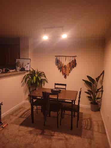 Looking for roommate!