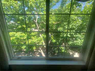 Available room/bathroom in townhome
