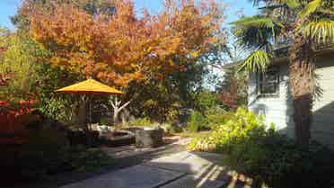 Looking for Roommate in NE Portland