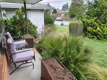 Looking for Roommate in NE Portland