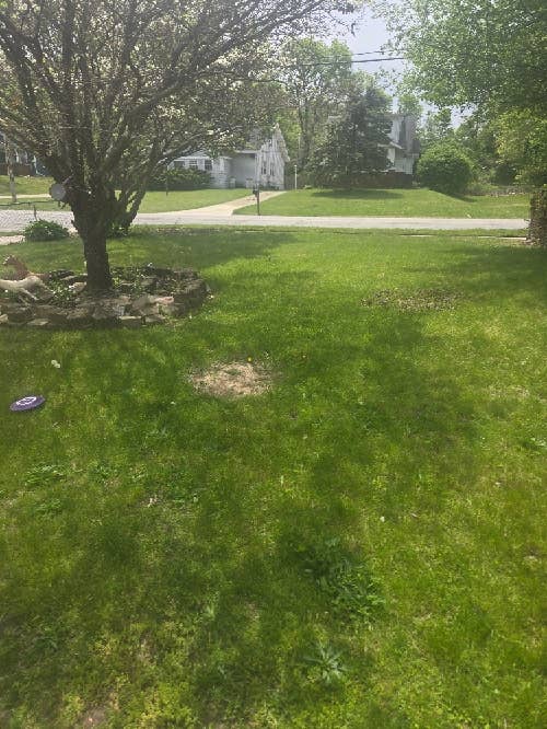 1BR FURNISHED if needed. W/storage