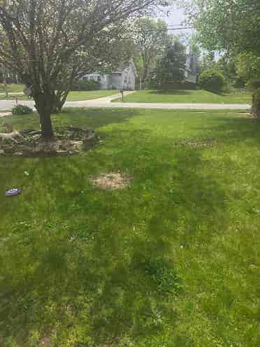 1BR FURNISHED if needed. W/storage