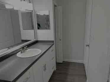 First Floor Apt. ten minutes to USF