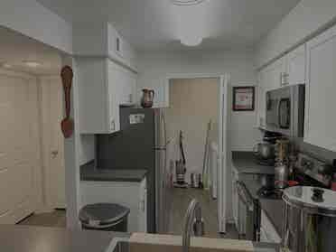 First Floor Apt. ten minutes to USF