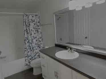 First Floor Apt. ten minutes to USF