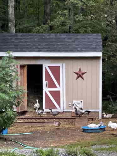 Share house - gorgeous, many acres