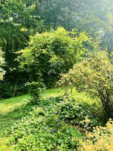 Share house - gorgeous, many acres