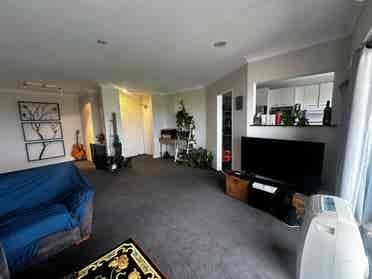 roommate wanted!