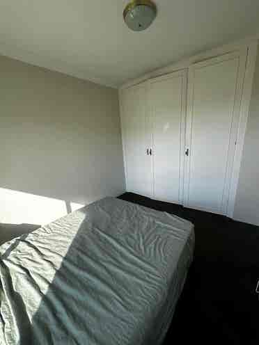 roommate wanted!