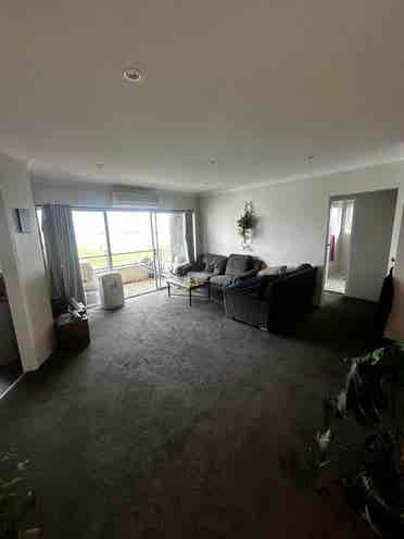roommate wanted!