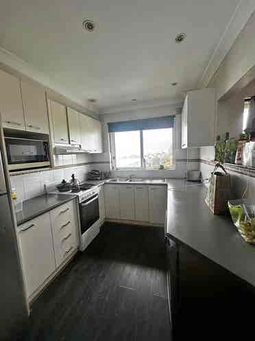 roommate wanted!