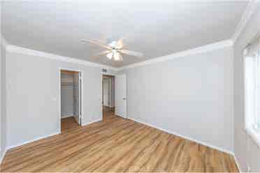Looking for Roommates!