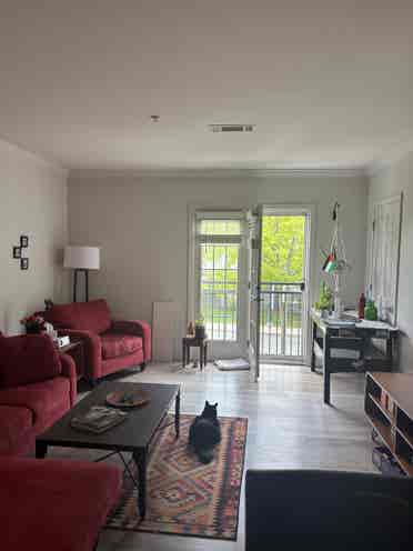 Beautiful Suite
 in Salem, 
MA