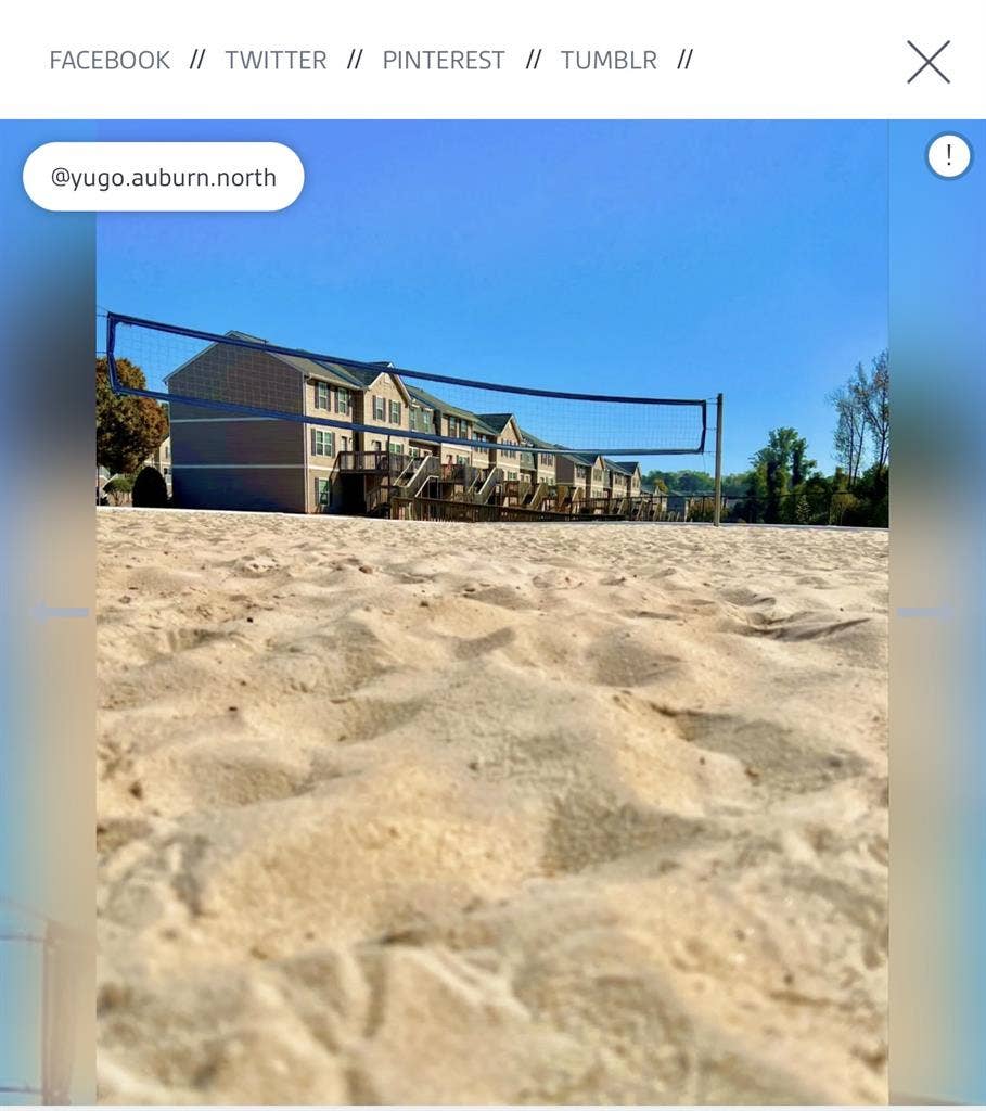 Looking to sublease room