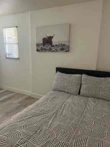 Renting room 
 for woman roommate.
